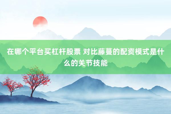 在哪个平台买杠杆股票 对比藤蔓的配资模式是什么的关节技能